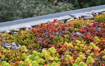 the cost of Gleann Dail Bho Dheas green roof installation