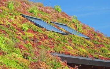 Gleann Dail Bho Dheas living roof systems