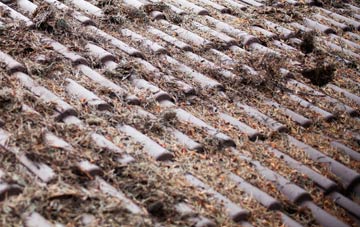 Gleann Dail Bho Dheas roof cleaning companies