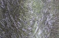 Gleann Dail Bho Dheas fibreglass roof work